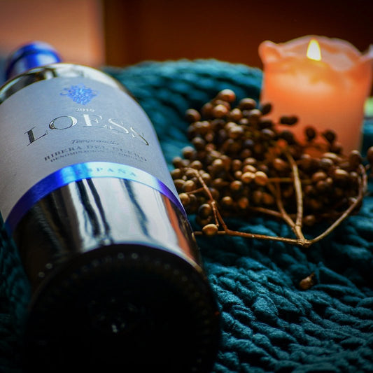 5 tips om de perfecte wijn-spijs combinatie te maken met Ribera del Duero wijnen - Loess Wijnen